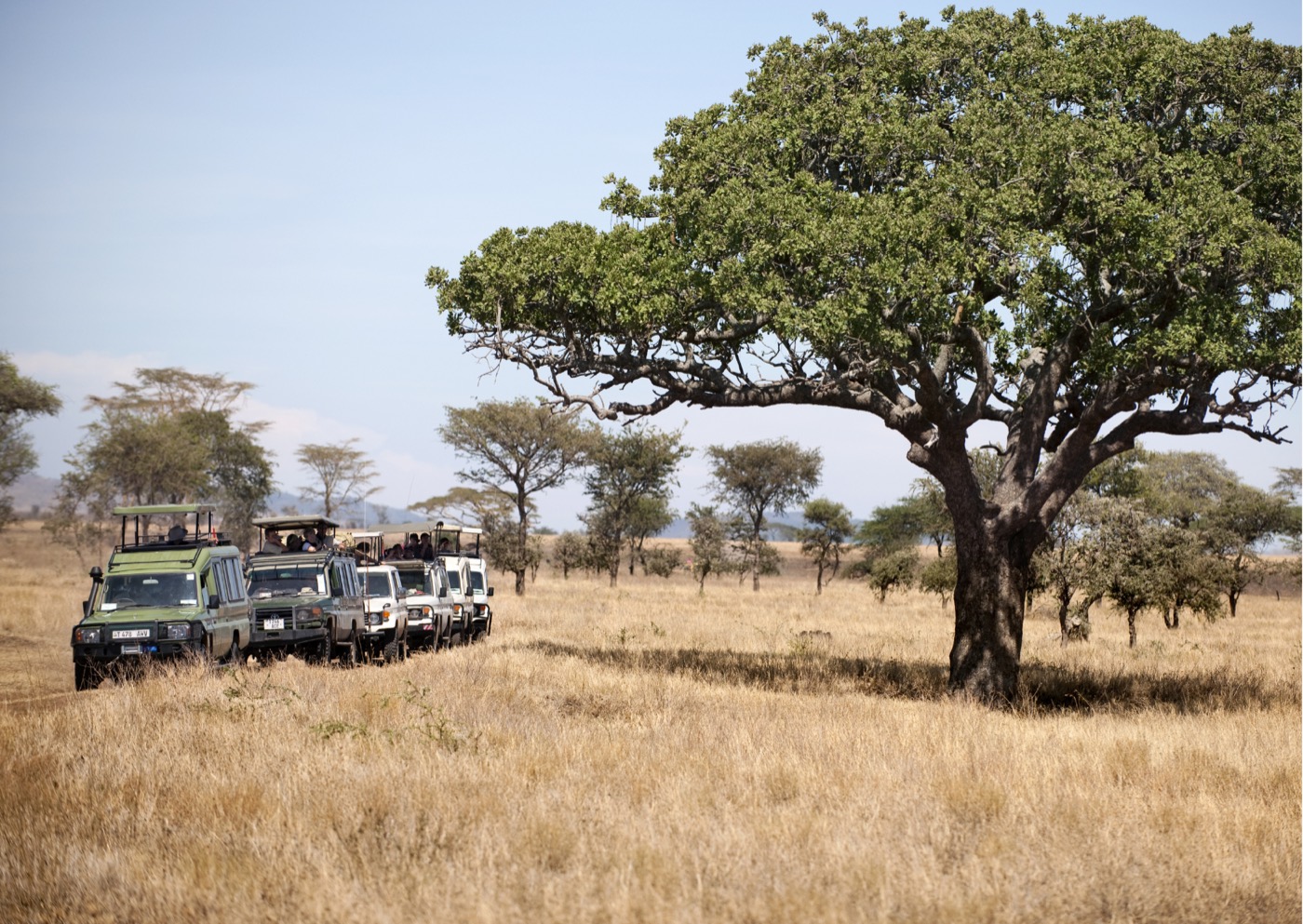 Veículos de safári na savana africana